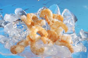 Замороженные морепродукты оптом в Стерлитамаке